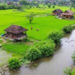 Pemandangan desa dengan sawah dan rumah tradisional.